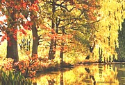 Autumn Reflections Painting by SophiaArt Gallery