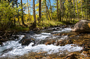 Autumn River - Monarch Pass Photograph by Aaron Spong