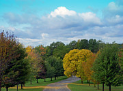 Autumn Road Photograph by Aimee L Maher ALM GALLERY