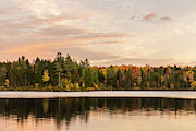 Autumn Scene Of Forest By Lake Photograph by Jerry Monkman Autumn Scene Of Forest By Lake Photograph by Jerry Monkman