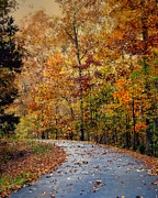 Autumn Splash - Fall Landscape Photograph by Jai Johnson