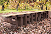 Autumn Strength Photograph by Patty Colabuono