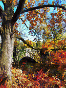 Autumn Tree by Small Stone Bridge Photograph by Susan Savad Autumn Tree by Small Stone Bridge Photograph by Susan Savad