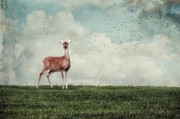 Aware Photograph by Lois Bryan