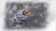 Baby Robin Digital Art by Lisa Redfern