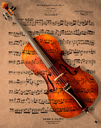 Bach on Cello Photograph by Sheryl Rae