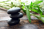 Balance Photograph by Olivier Le Queinec Balance Photograph by Olivier Le Queinec