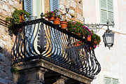 Balcony With Flowerpots, Assisi Photograph by Tim Holt