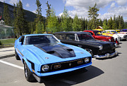 Banff Beauties Photograph by Brenda Kean