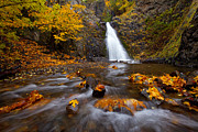 Barking Dog Falls Photograph by Darren White Barking Dog Falls Photograph by Darren White