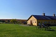 Barn in the Fall Photograph by Tammie Miller