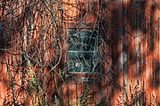 Barn Side Photograph by David Armstrong