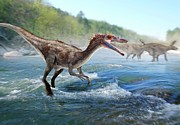 Baryonyx Dinosaur Photograph by Science Photo Library