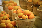 Baskets of Apricots Photograph by Julie Palencia