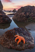 Battle Rock Sunrise Photograph by Darren White