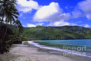 Beach At Magens Bay, St. Thomas Photograph by Bill Bachmann