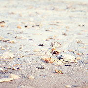 Beach Therapy Photograph by Carolyn Cochrane