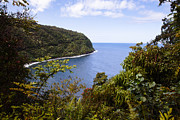 Beautiful Bay Photograph by Laura Tucker