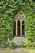 Beautiful old window Photograph by Matthias Hauser