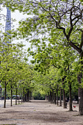 Beautiful Paris in Spring Photograph by Georgia Clare