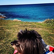 Beautiful View. The Ocean Looks Good Photograph by Pix Jax
