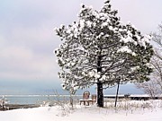 Beauty in Winter Photograph by Janice Drew