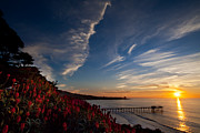 Beginnings Photograph by Ryan Weddle