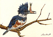 Belted Kingfisher bird Painting by Juan  Bosco