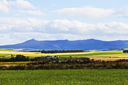 Bennachie Photograph by Diane Macdonald