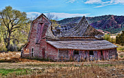 Better Days Photograph by David Armstrong