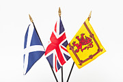 Better Together Photograph by Diane Macdonald