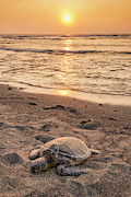 Big Island Photograph by Christian Heeb Big Island Photograph by Christian Heeb