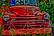 Big Red  Photograph by Toni Hopper