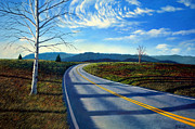 Birch tree along the road Painting by Christopher Shellhammer