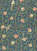 Bird and Pomegranate by William Morris Tapestry - Textile by William Morris Bird and Pomegranate by William Morris Tapestry - Textile by William Morris