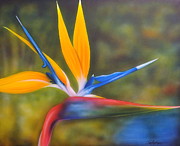 Bird of Paradise Painting by Darren Robinson
