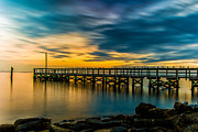 Birds on the Dock Photograph by Alissa Beth Photography