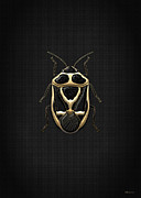 Black Shieldbug with Gold Accents on Black Canvas Digital Art by Serge Averbukh Black Shieldbug with Gold Accents on Black Canvas Digital Art by Serge Averbukh