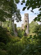 Blarney Castle 2 Photograph by Mike McGlothlen