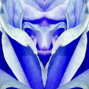 Blue Boy Flower Digital Art by Mary Russell