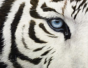 Blue Eye Painting by Lucie Bilodeau