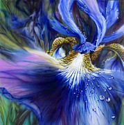 Blue Iris Painting by Lynette Yencho