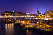 Blue Michel Photograph by Andy Bitterer