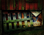 Blue Ribbon Landscape Photograph by Rebecca Sherman