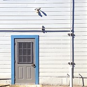 Blue Trim Photograph by Julie Gebhardt