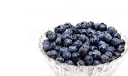 Blueberry 3 Panorama Photograph by Andee Design