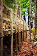 Boardwalk To Song  Photograph by Jeff Sinon