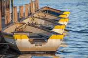 Boats In A Row Photograph by Cathy Kovarik