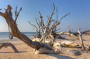 Boneyard Beach Photograph by Patricia Schaefer