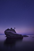 Bonsai Island Photograph by Sean Foster